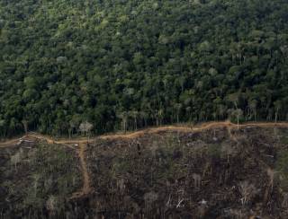 Justiça bloqueia R$ 292 milhões de acusado de desmatar a Amazônia