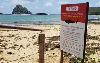 Praia onde menina foi atacada por tubarão em Noronha tem faixa de areia liberada na sexta-feira e ICMBio propõe estudo para pesca de tubarões