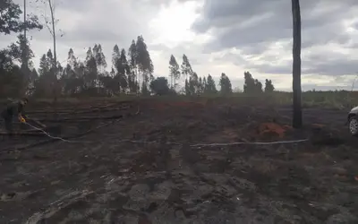 Incêndio em fazenda atinge vegetação em área de reserva legal e acarreta multas de mais de R$ 250 mil em Marabá Paulista