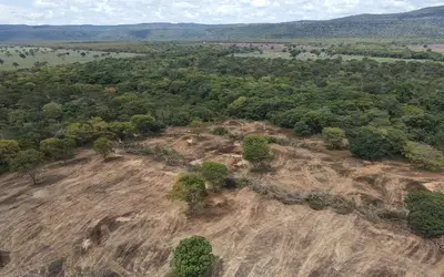 Mais de três mil hectares de caatinga desmatados ilegalmente são embargados na Bahia